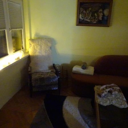 Apartment Tjasa 拉多夫吉卡 外观 照片