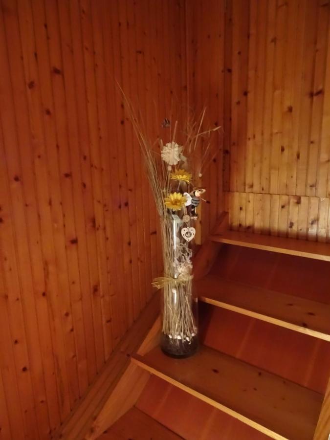 Apartment Tjasa 拉多夫吉卡 外观 照片