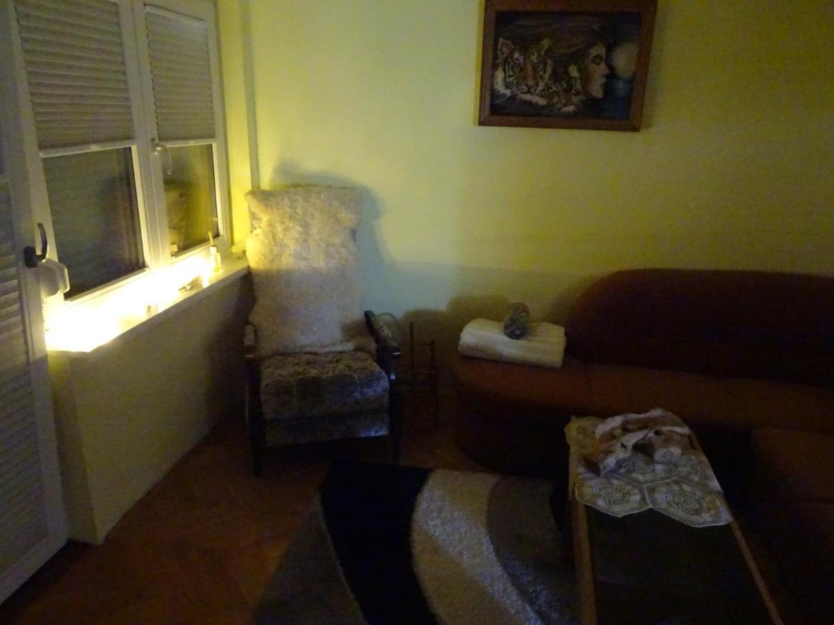 Apartment Tjasa 拉多夫吉卡 外观 照片