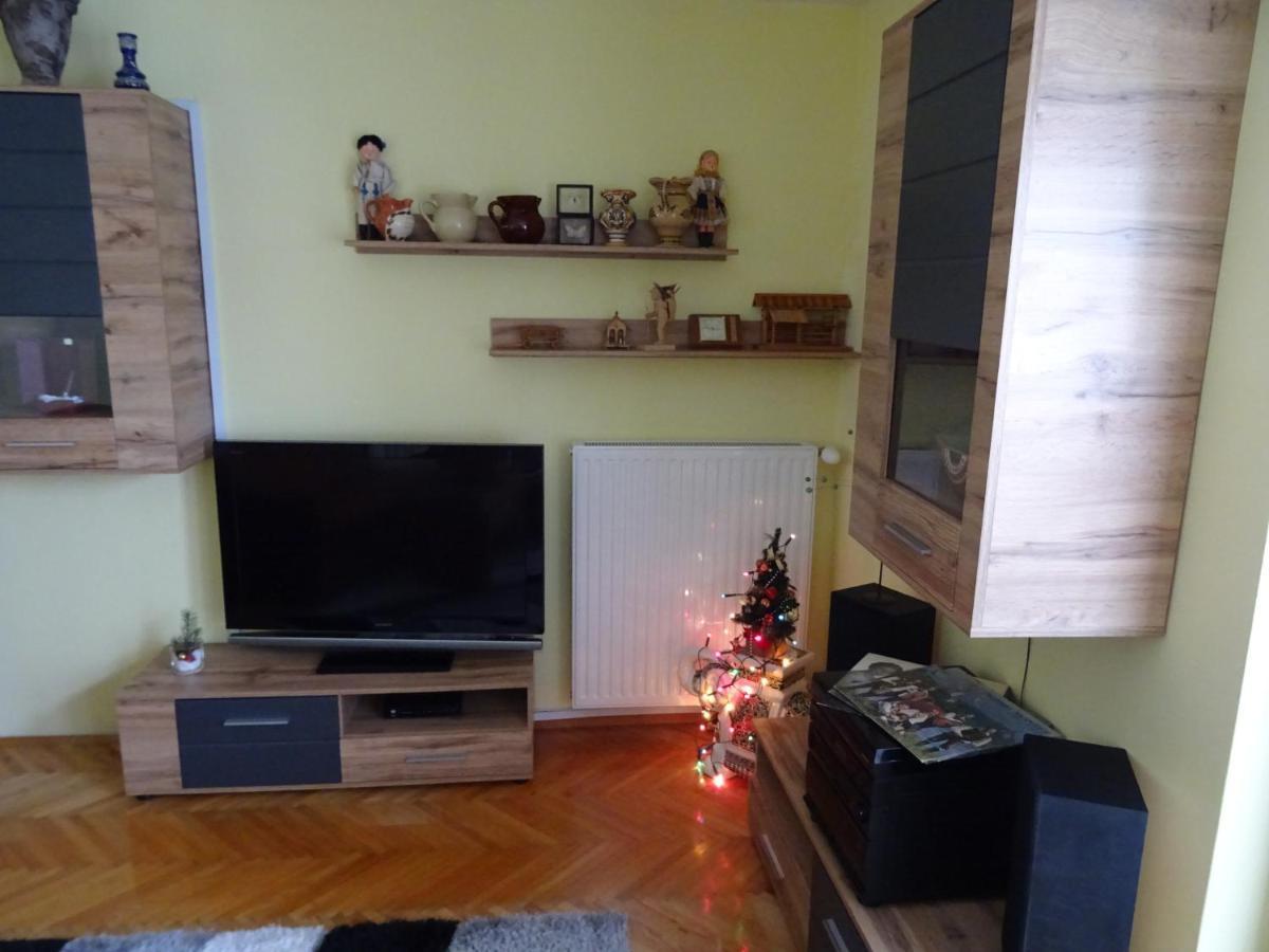 Apartment Tjasa 拉多夫吉卡 外观 照片