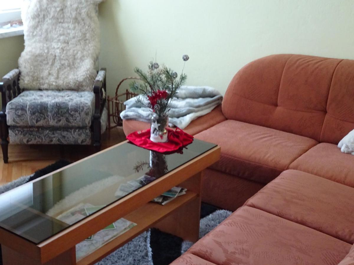 Apartment Tjasa 拉多夫吉卡 外观 照片