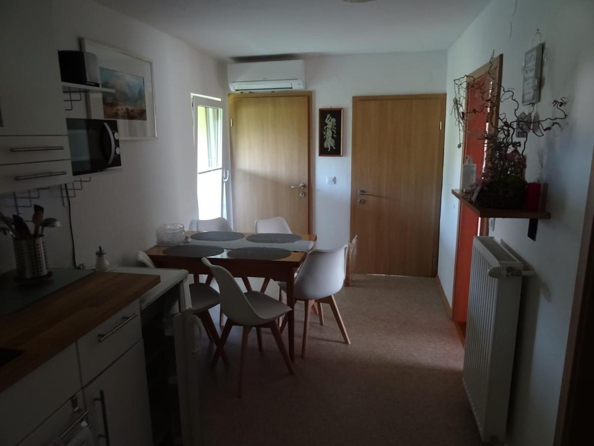 Apartment Tjasa 拉多夫吉卡 外观 照片