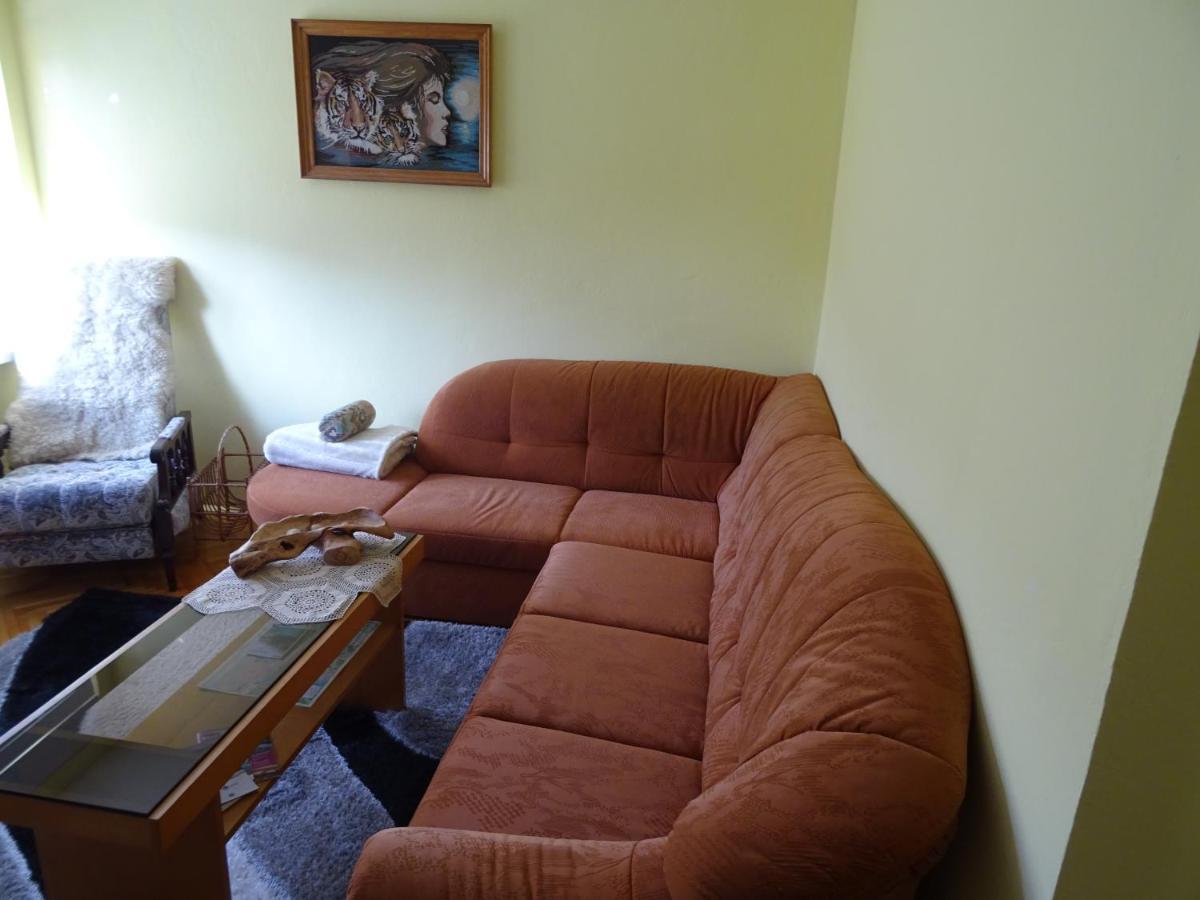 Apartment Tjasa 拉多夫吉卡 外观 照片