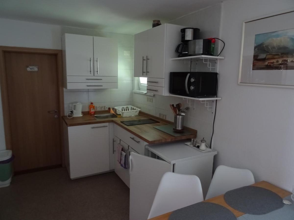 Apartment Tjasa 拉多夫吉卡 外观 照片