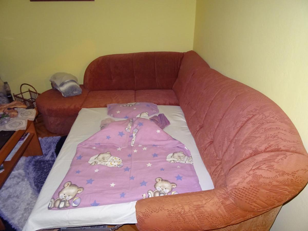 Apartment Tjasa 拉多夫吉卡 外观 照片