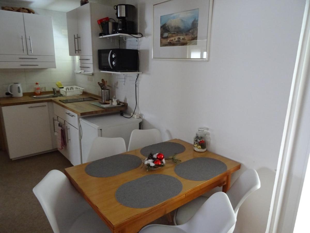 Apartment Tjasa 拉多夫吉卡 外观 照片