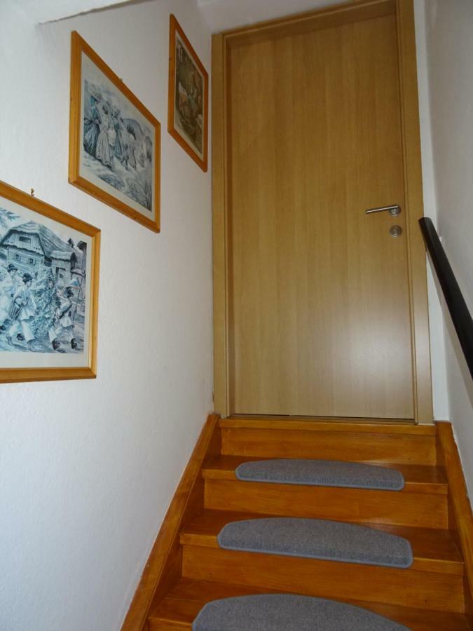 Apartment Tjasa 拉多夫吉卡 外观 照片