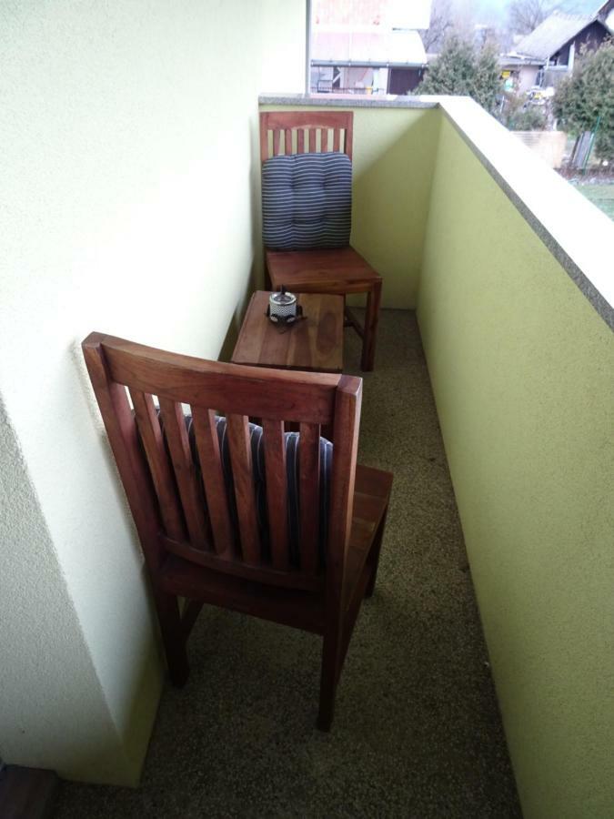 Apartment Tjasa 拉多夫吉卡 外观 照片